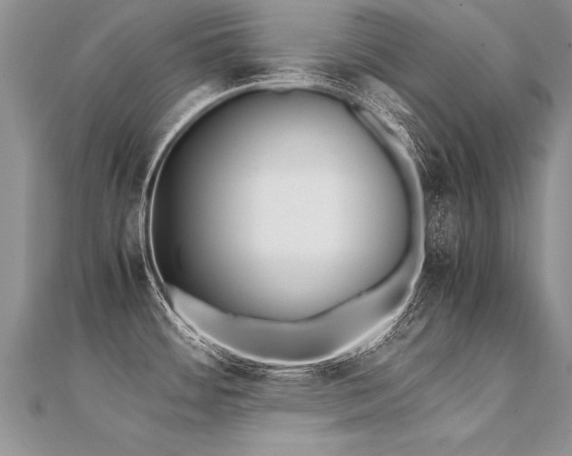 X0000112041484200908101350
