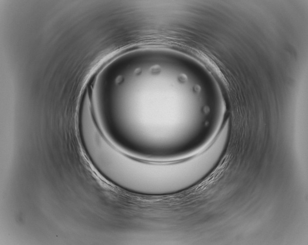 X0000112041485200908101350