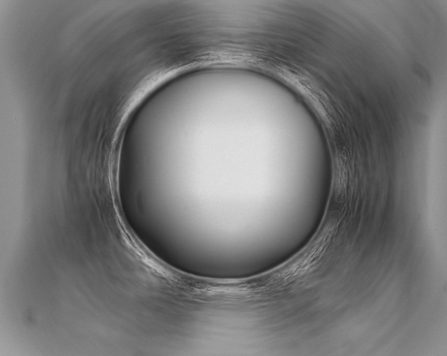 X0000112041486200908101350