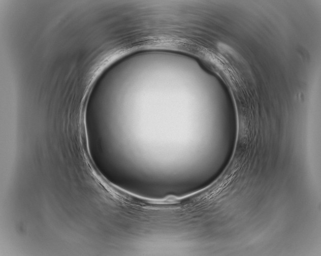 X0000112041487200908101350