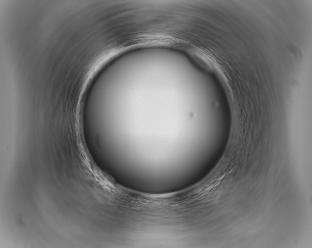 X0000112041488200908101350