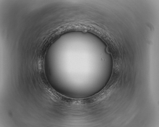 X0000112041490200908101349