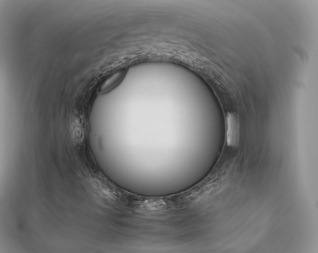 X0000112041491200908101349
