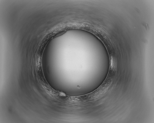 X0000112041492200908101349