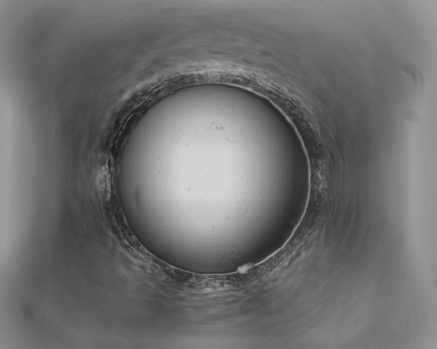 X0000112041493200908101349