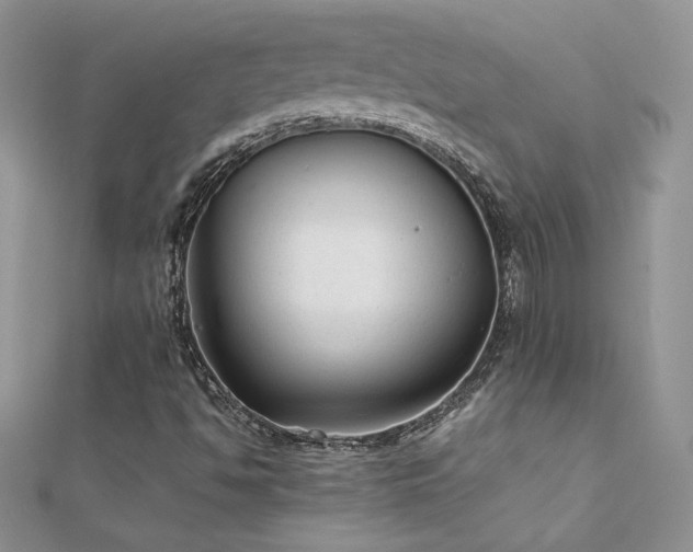 X0000112041494200908101349