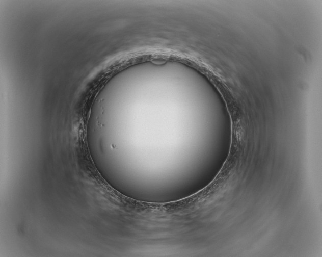 X0000112041495200908101349