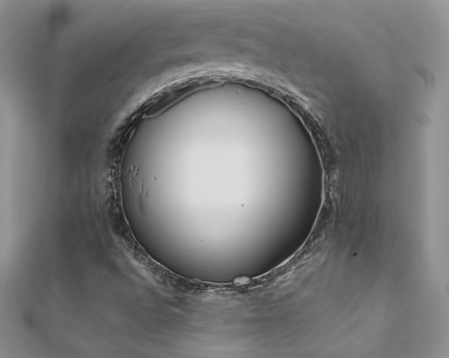 X0000112041496200908101349