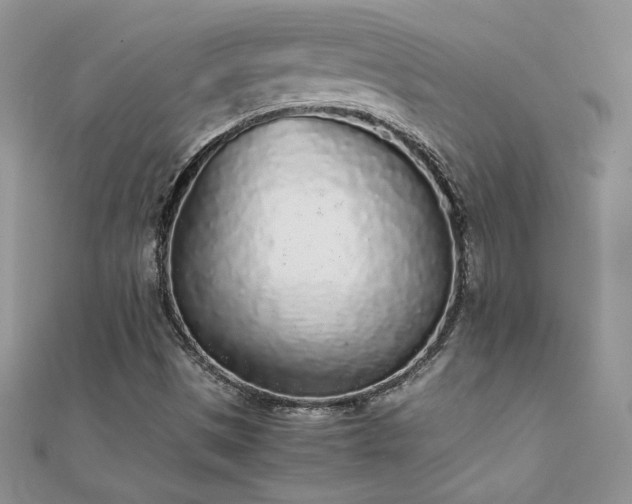 X0000112041497200908101349