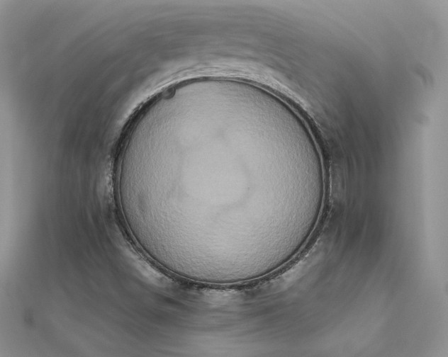 X0000112041498200908101349