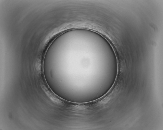X0000112041499200908101349
