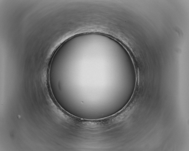 X0000112041500200908101349