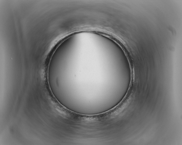X0000112041501200908101349