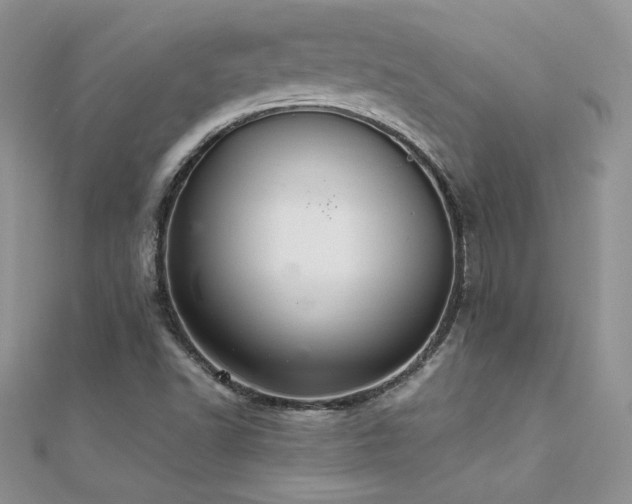 X0000112041502200908101349