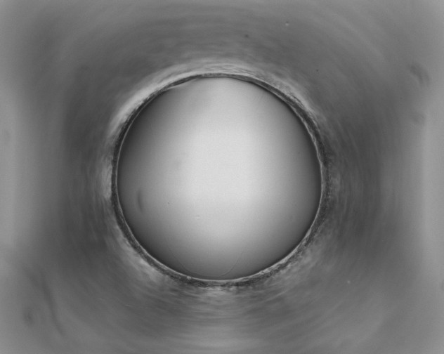 X0000112041504200908101349