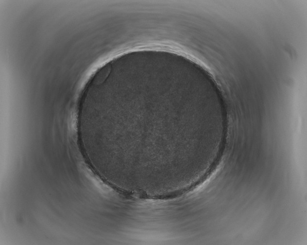 X0000112041506200908101349
