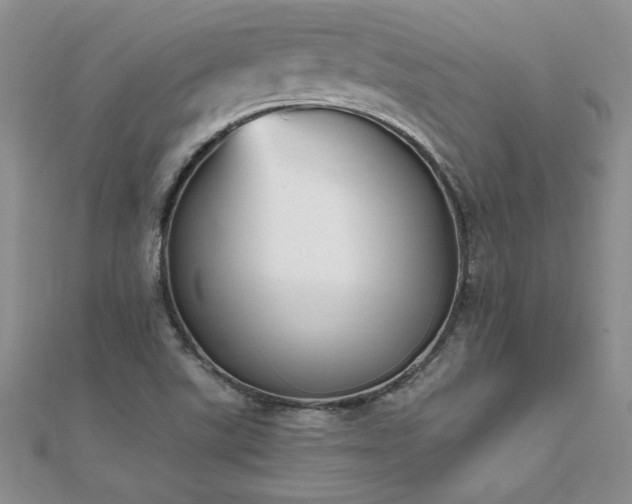 X0000112041507200908101349