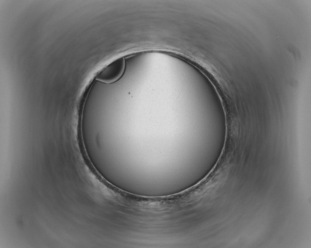 X0000112041508200908101349