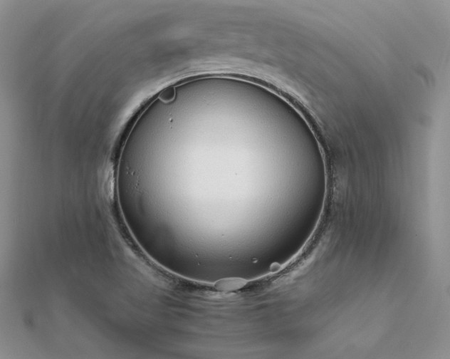 X0000112041509200908101349