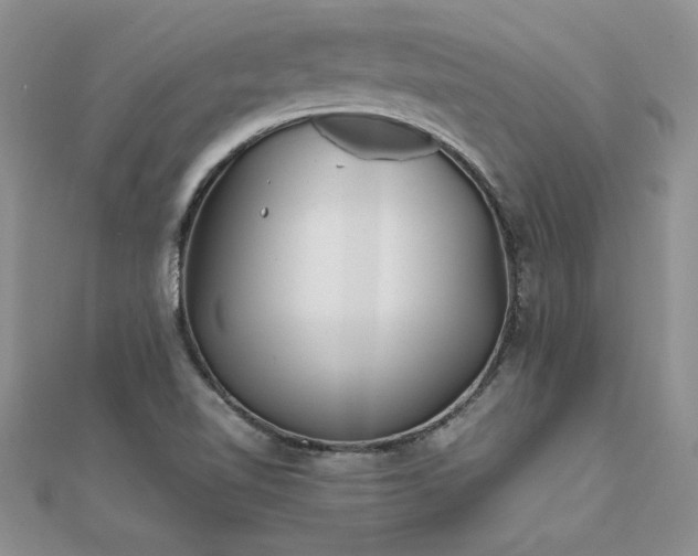X0000112041510200908101349