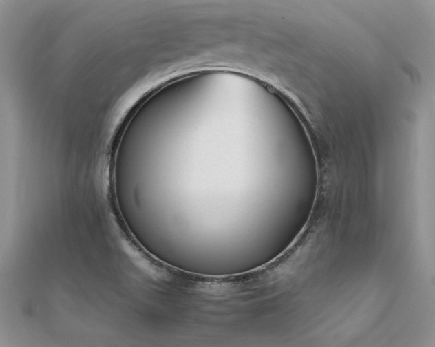 X0000112041511200908101349