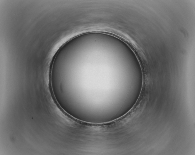 X0000112041512200908101349