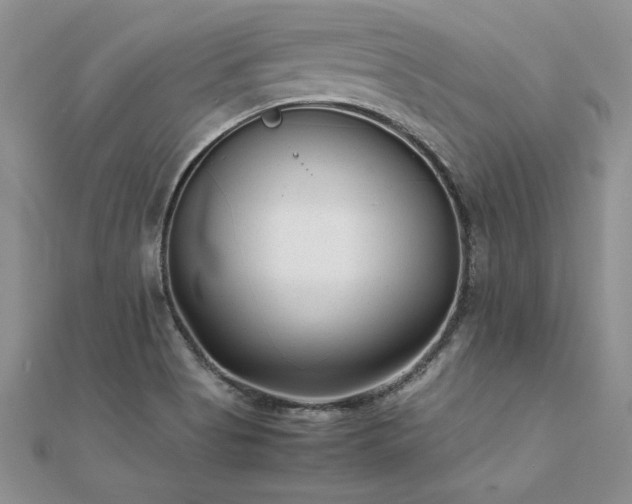 X0000112041513200908101349