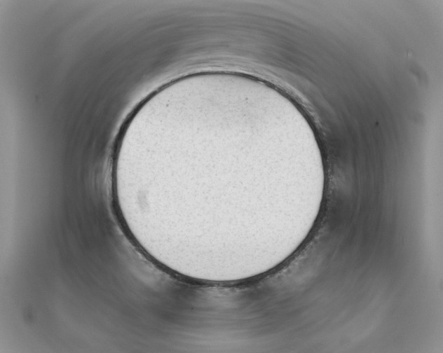 X0000112041514200908101349