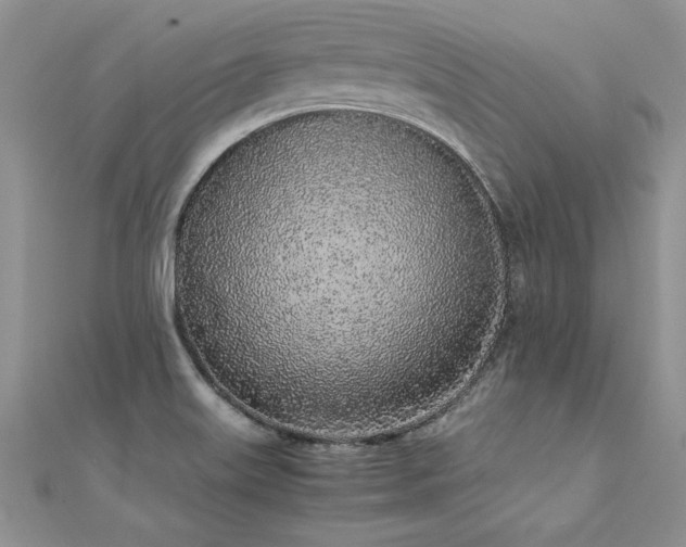 X0000112041515200908101349