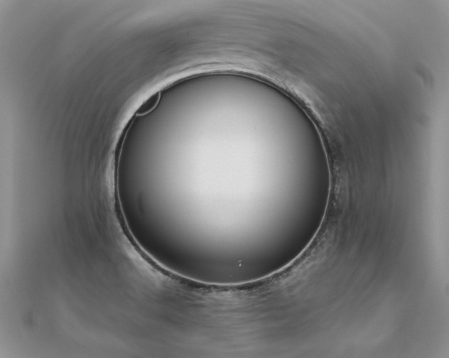 X0000112041516200908101350