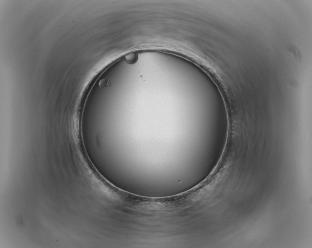 X0000112041517200908101350