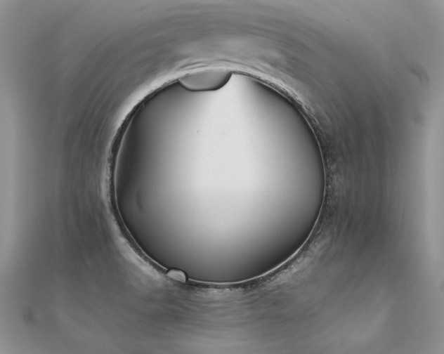X0000112041518200908101350
