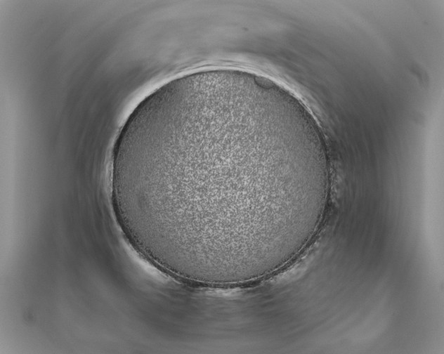 X0000112041519200908101350