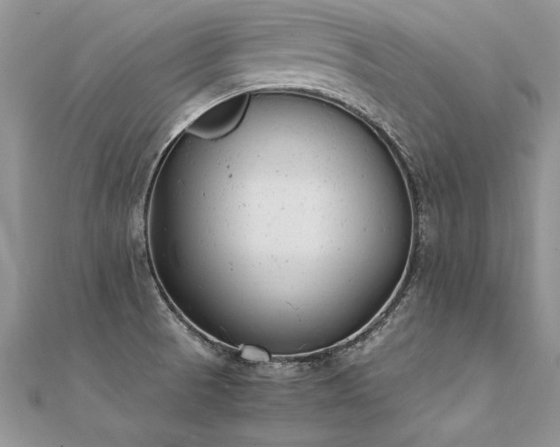 X0000112041521200908101350