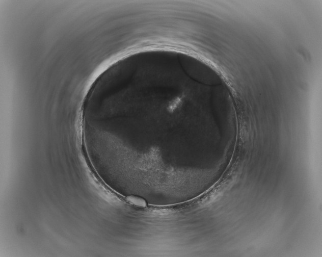 X0000112041522200908101350