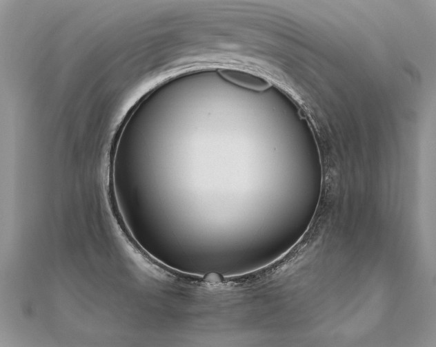 X0000112041523200908101350