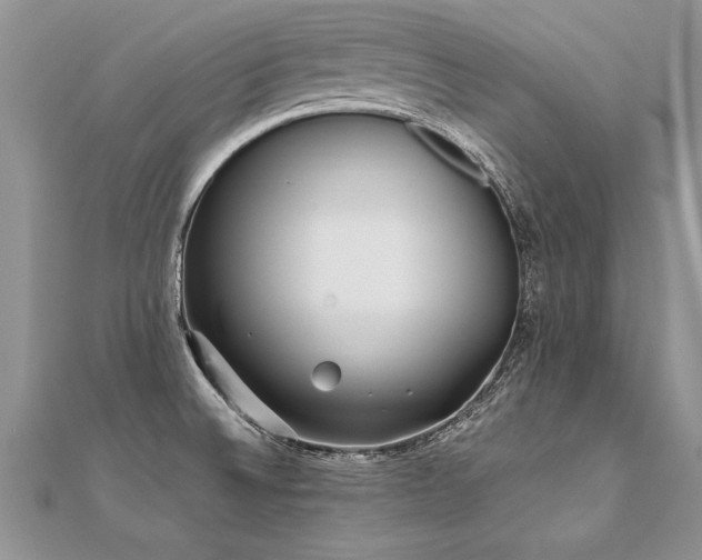 X0000112041524200908101350