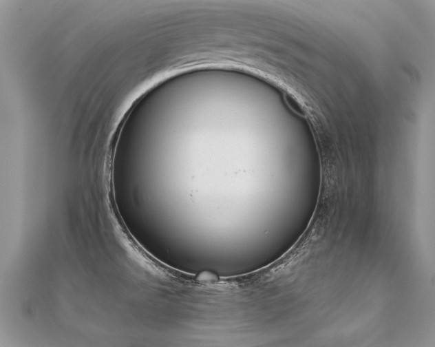 X0000112041526200908101350