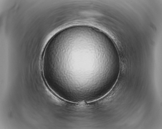 X0000112041527200908101350