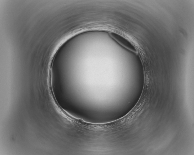 X0000112041528200908101350