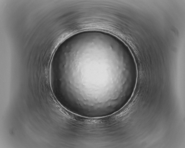 X0000112041529200908101350