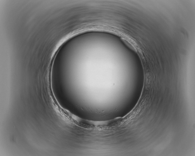 X0000112041530200908101350