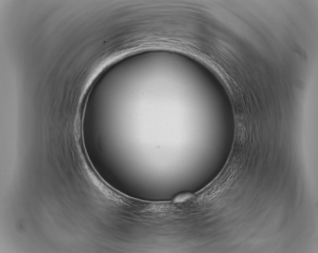 X0000112041531200908101350