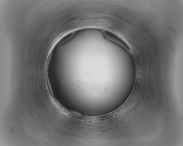 X0000112041532200908101350