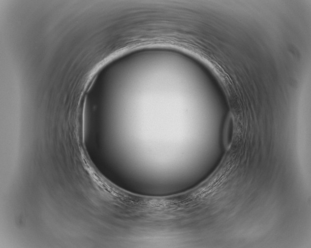 X0000112041534200908101350