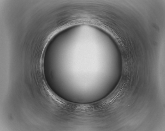 X0000112041535200908101350