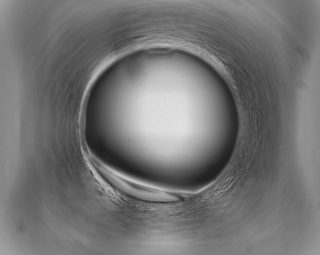 X0000112041536200908101350