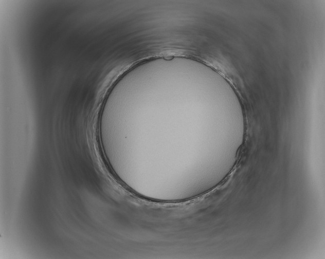 X0000112040001200908171520