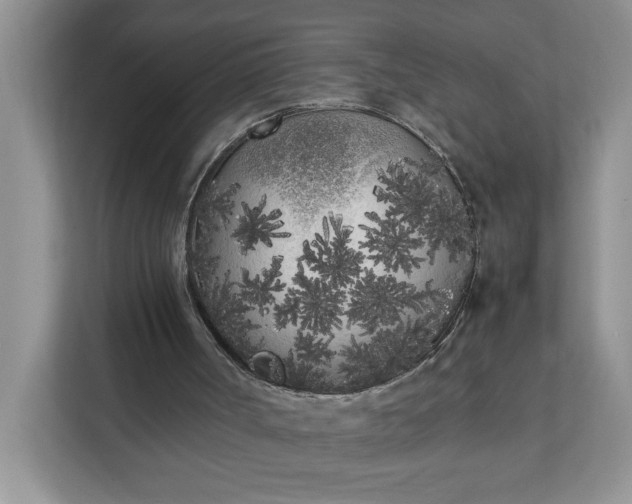 X0000112040002200908171520