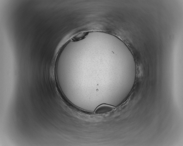 X0000112040004200908171520
